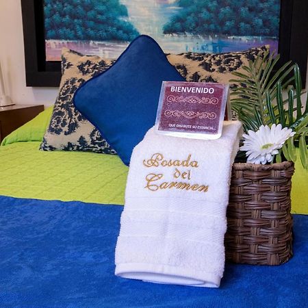 Hotel Posada Del Carmen San Luis Potosí Kültér fotó