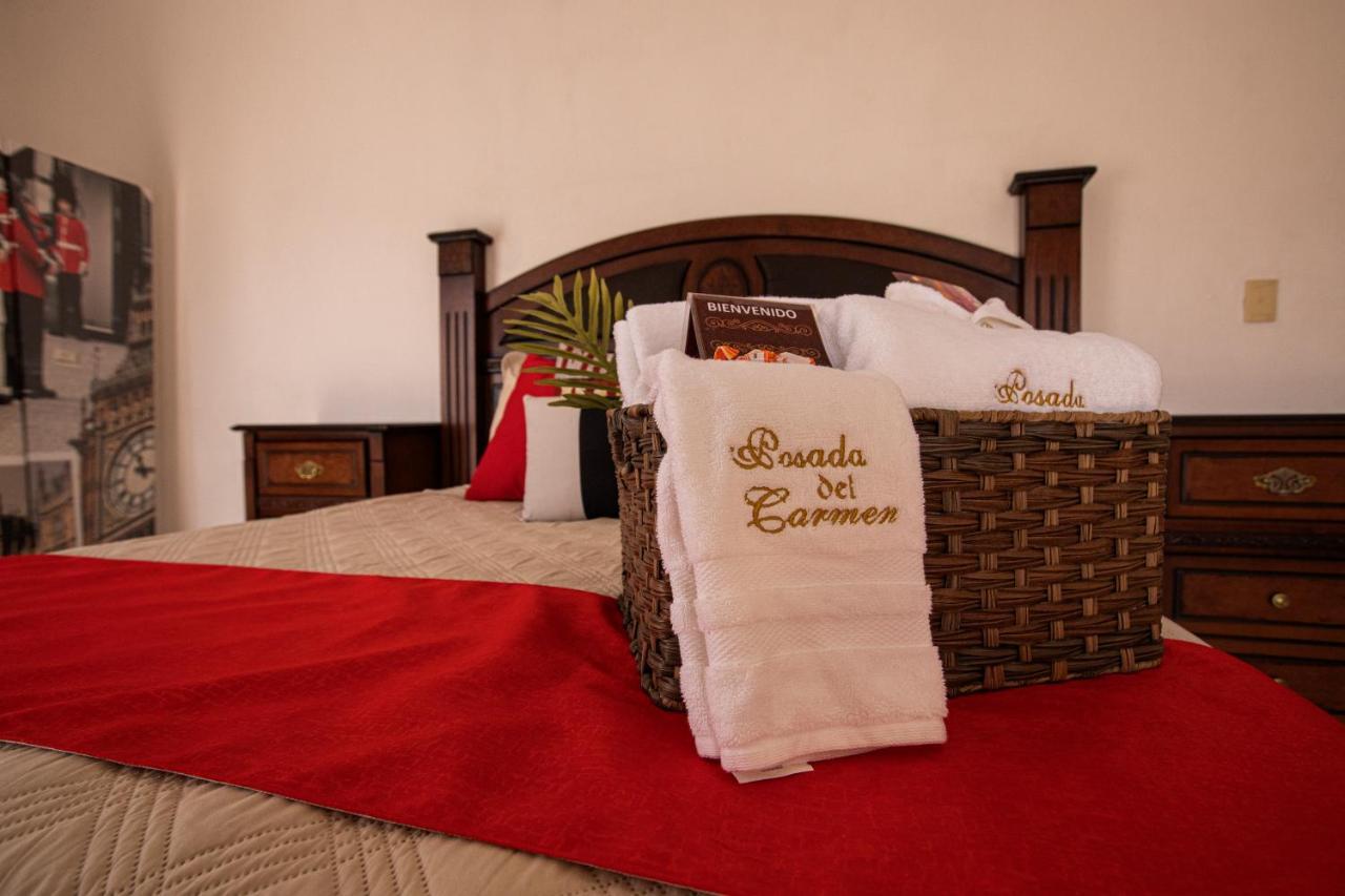 Hotel Posada Del Carmen San Luis Potosí Kültér fotó