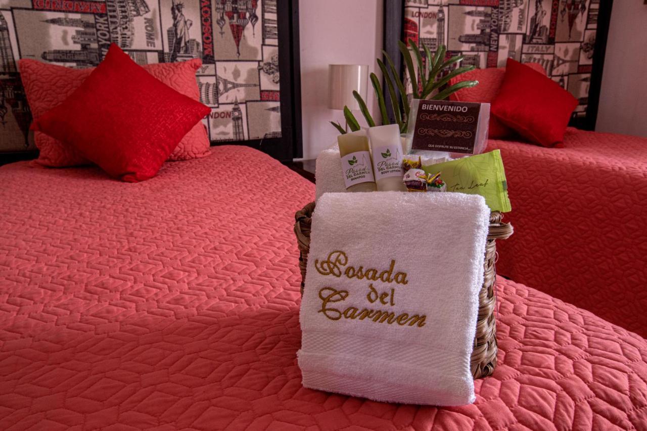 Hotel Posada Del Carmen San Luis Potosí Kültér fotó