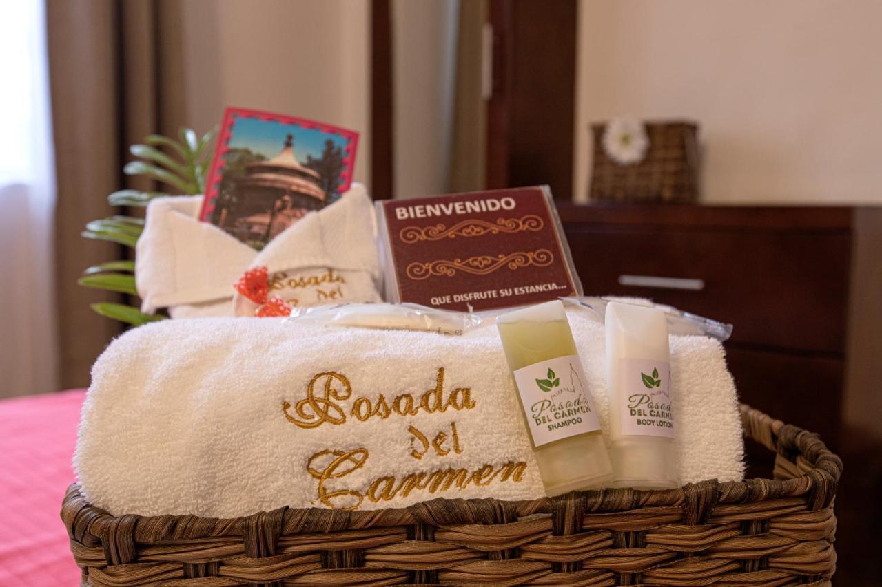 Hotel Posada Del Carmen San Luis Potosí Kültér fotó